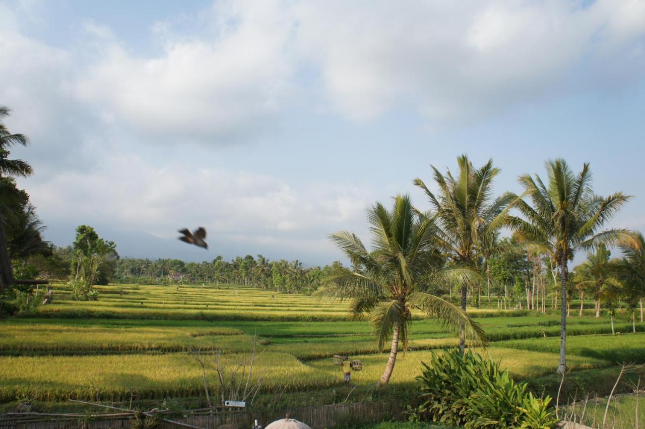 Tetebatu Flush Harmony Hotel Luaran gambar