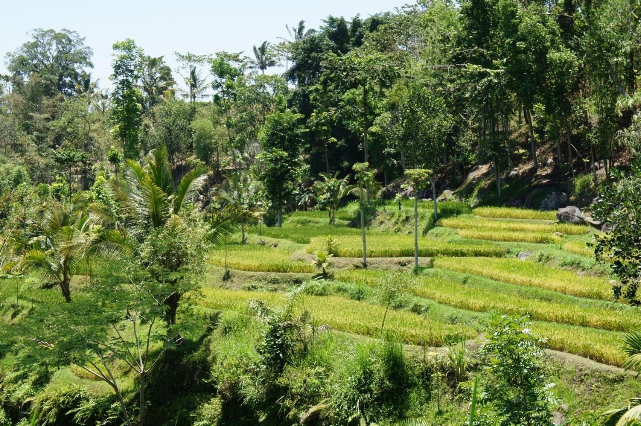 Tetebatu Flush Harmony Hotel Luaran gambar
