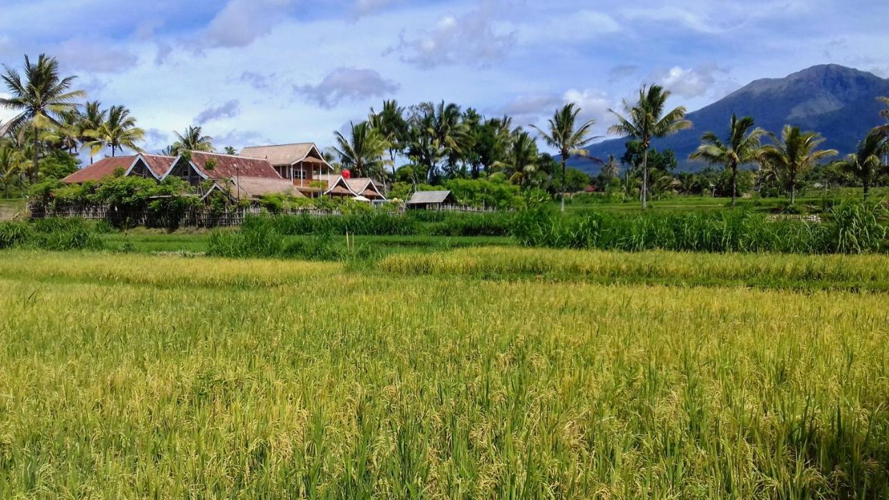 Tetebatu Flush Harmony Hotel Luaran gambar