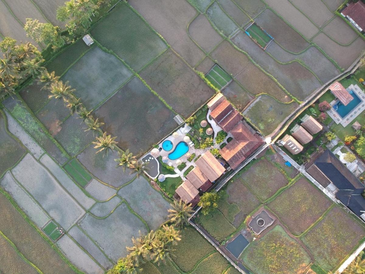 Tetebatu Flush Harmony Hotel Luaran gambar