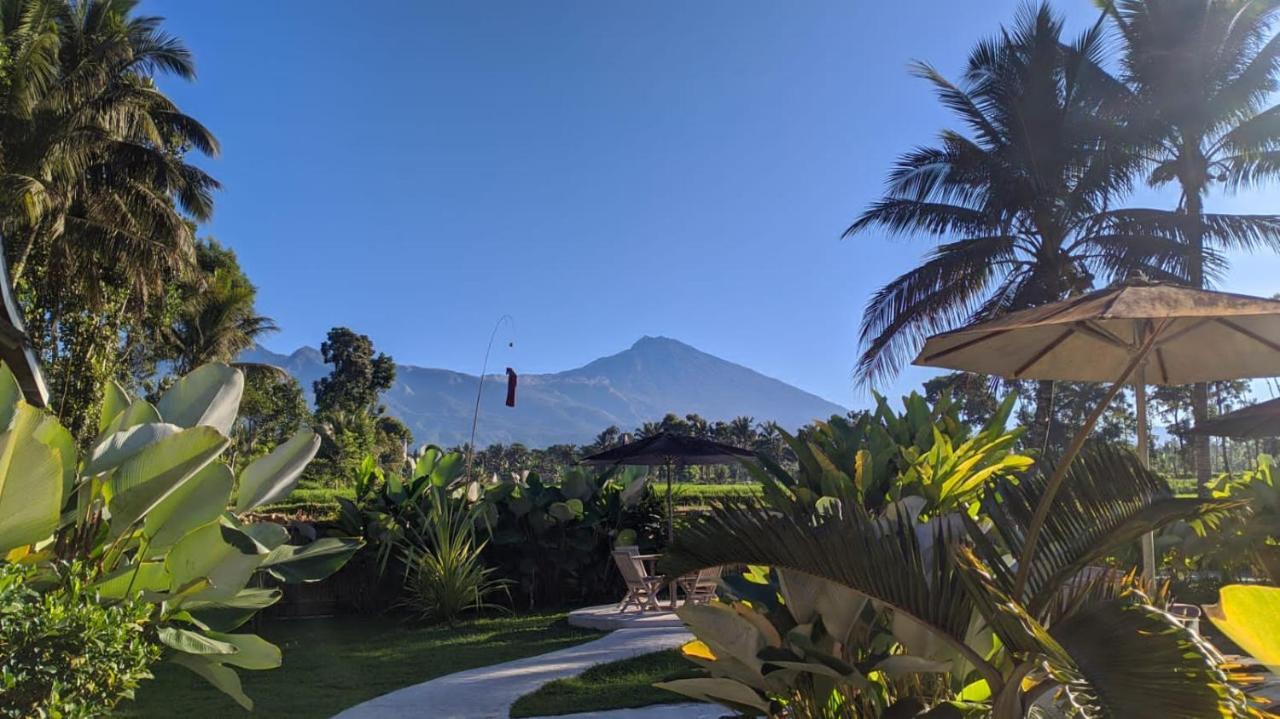 Tetebatu Flush Harmony Hotel Luaran gambar